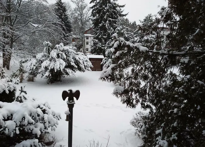 Waldblick アパート バート・デュルハイム